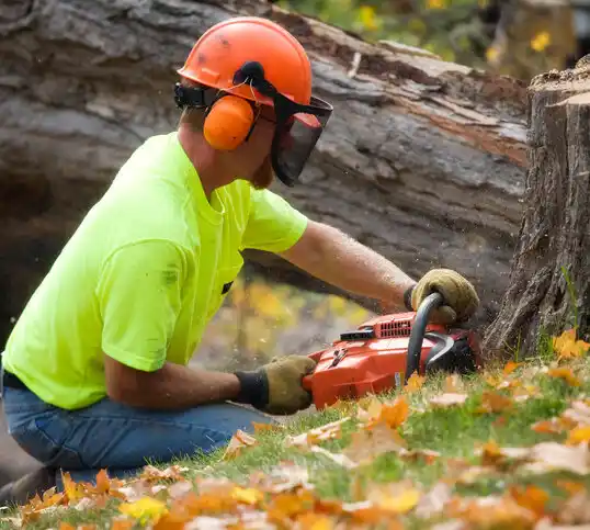 tree services Hardyville